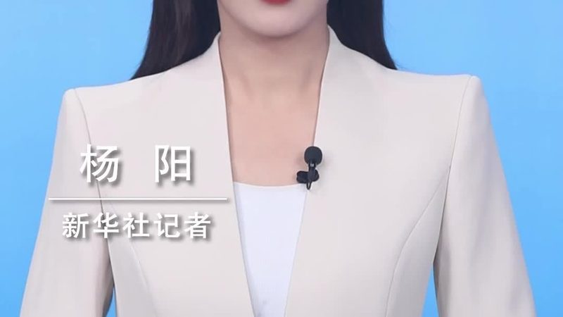 揭秘数据服务公司：十大品牌背后的实力与选择