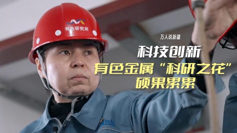 开源低代码平台：功能全面性解析